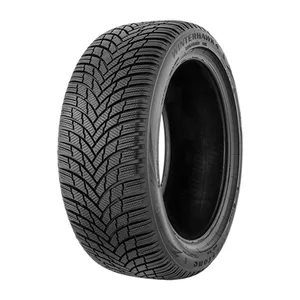 Bild von 215/65R16*H WINTERHAWK 4 98H